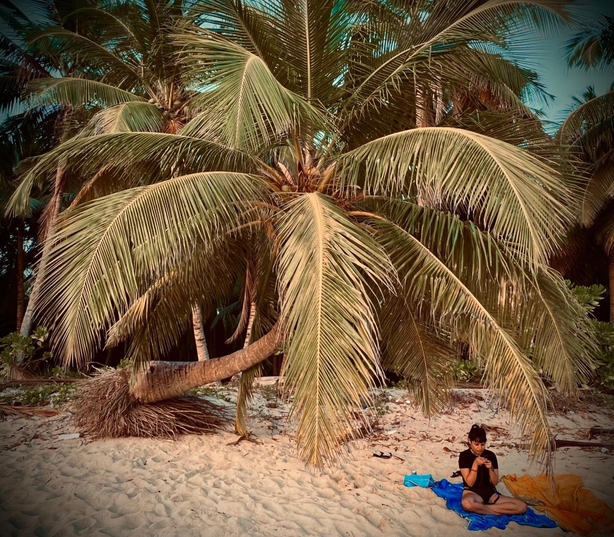 Blue Sea Restaurant & Bungalows Sitapur Bagian luar foto